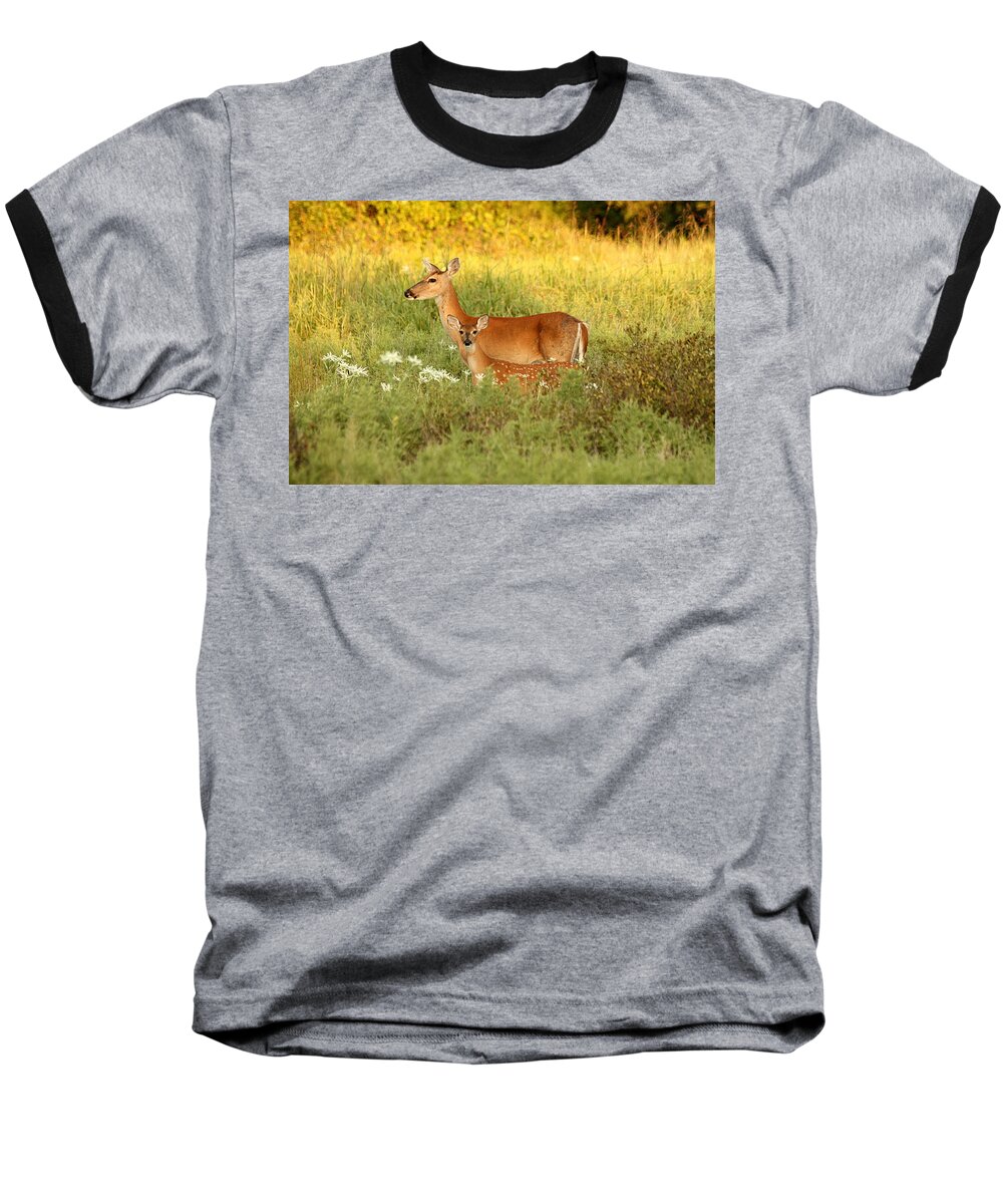 Nature Baseball T-Shirt featuring the photograph White-Tail Doe and Fawn in Meadow by Sheila Brown