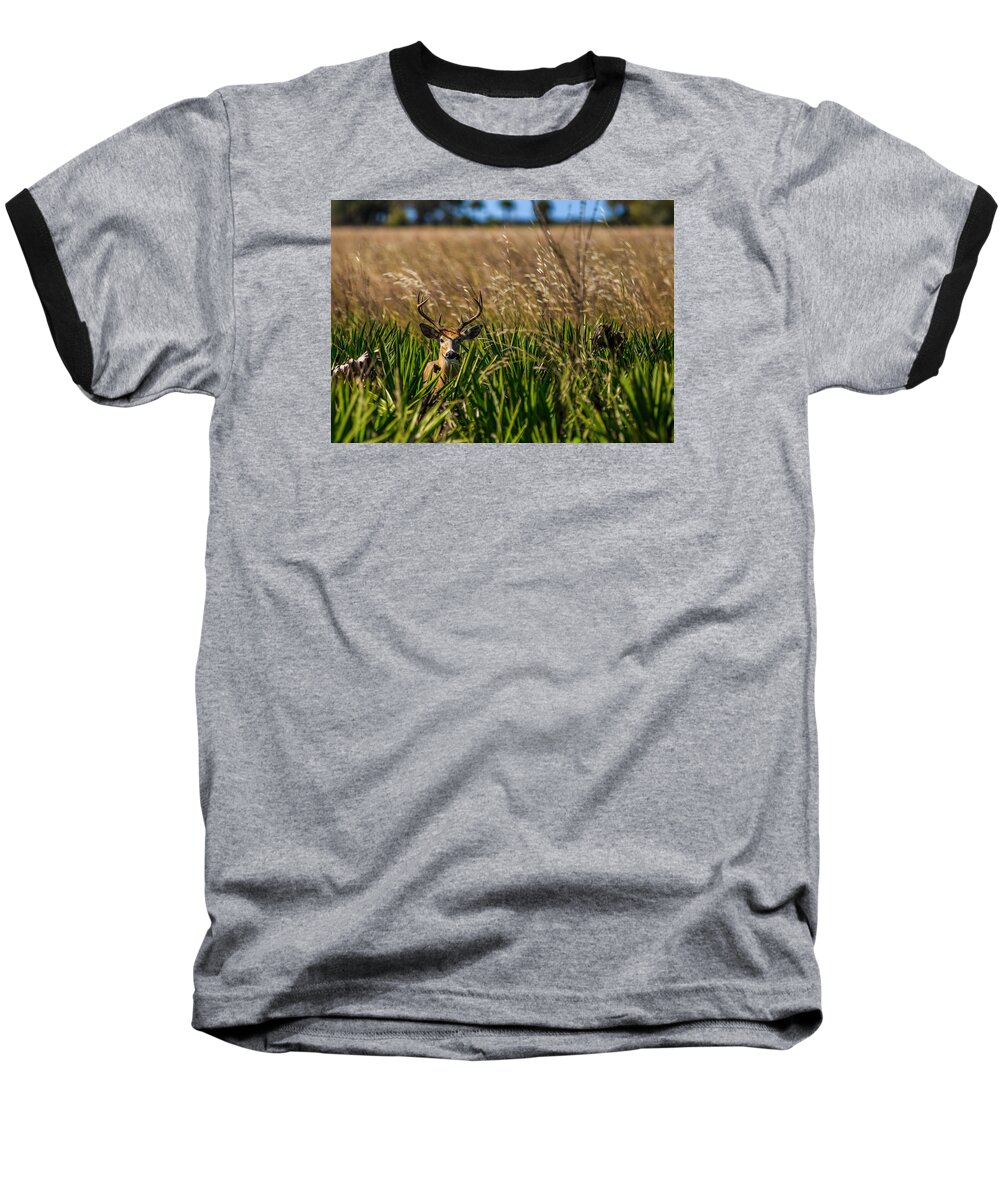 White Tail Baseball T-Shirt featuring the photograph Whitetail by Christopher Perez
