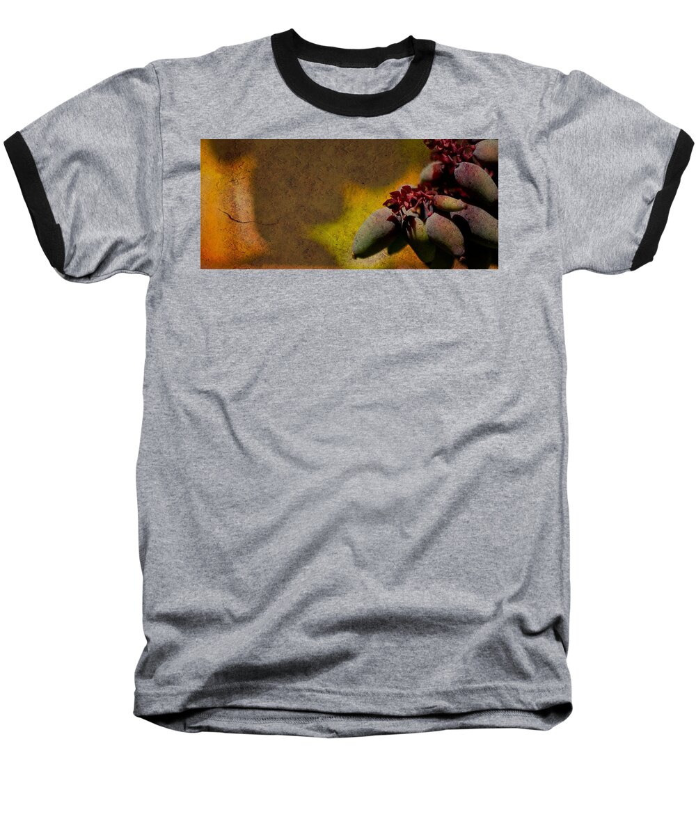 Fruit Baseball T-Shirt featuring the photograph Who Knows by Trish Tritz