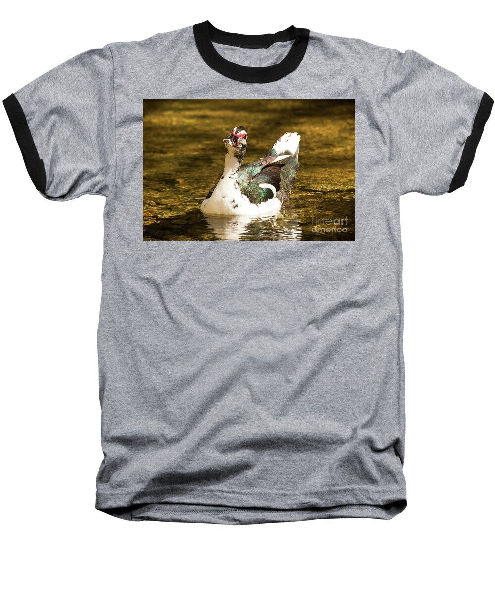 2016 Baseball T-Shirt featuring the photograph Who Me Wildlife Art by Kaylyn Franks by Kaylyn Franks