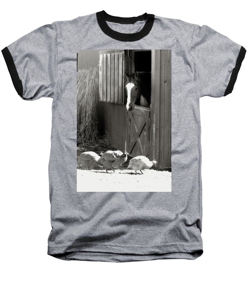 Horse Baseball T-Shirt featuring the photograph Why Did the Guinea Hen Cross the Road - sepia by Angela Rath