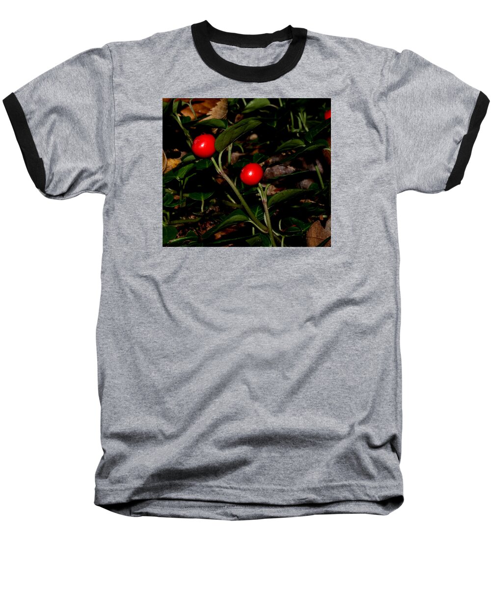 Nature Baseball T-Shirt featuring the photograph Wild Berries by Robert Morin