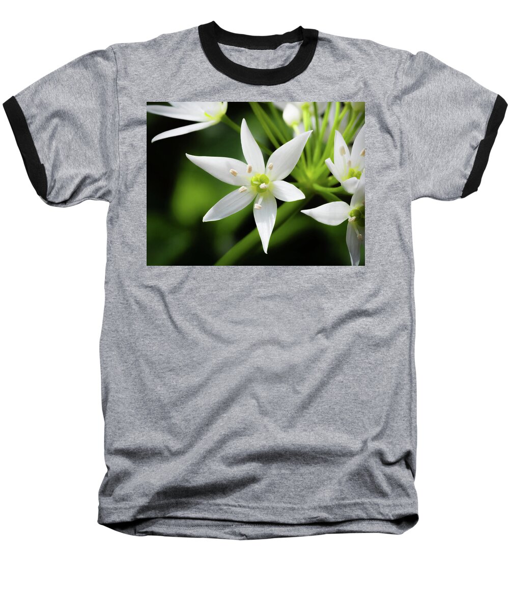Wild Garlic Baseball T-Shirt featuring the photograph Wild Garlic Flower by Nick Bywater