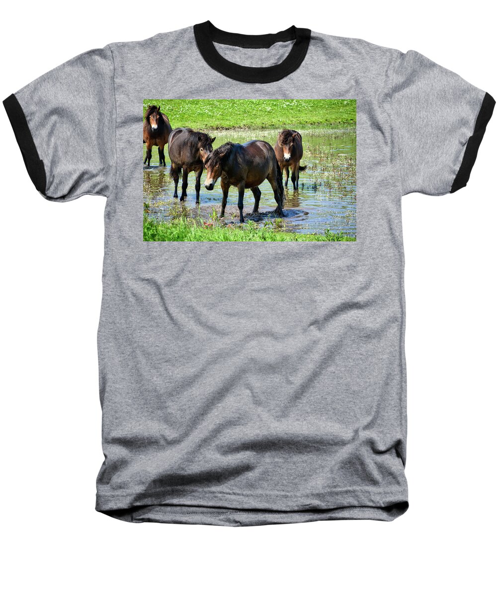 Nature Baseball T-Shirt featuring the photograph Wild Horses 4 by Ingrid Dendievel