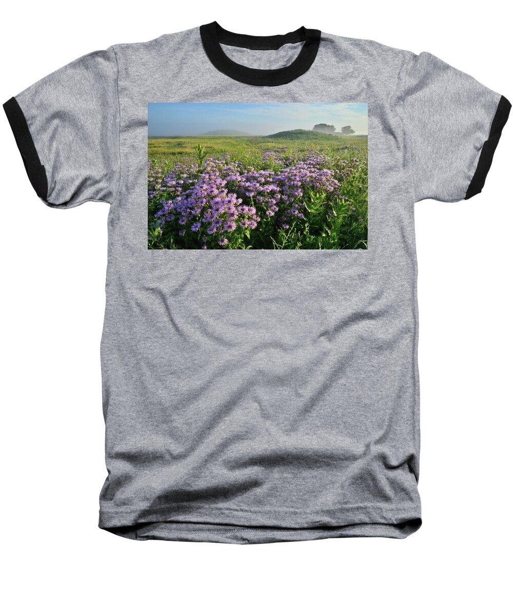 Black Eyed Susan Baseball T-Shirt featuring the photograph Wild Mints Galore in Glacial Park by Ray Mathis