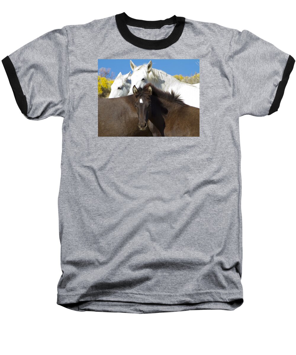 Horses Baseball T-Shirt featuring the photograph Wild Mustang Herd by Waterdancer 