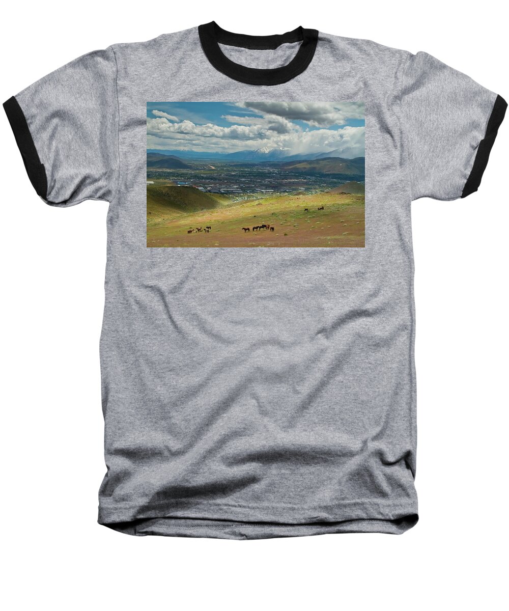 Horses Baseball T-Shirt featuring the photograph Wild Mustangs near Carson City, NV by Waterdancer