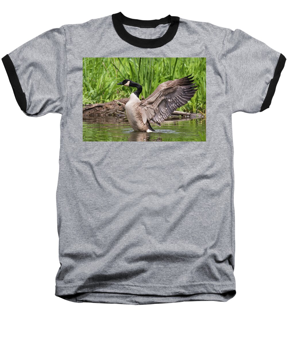 Bird Baseball T-Shirt featuring the photograph Wild Wings by Jody Partin