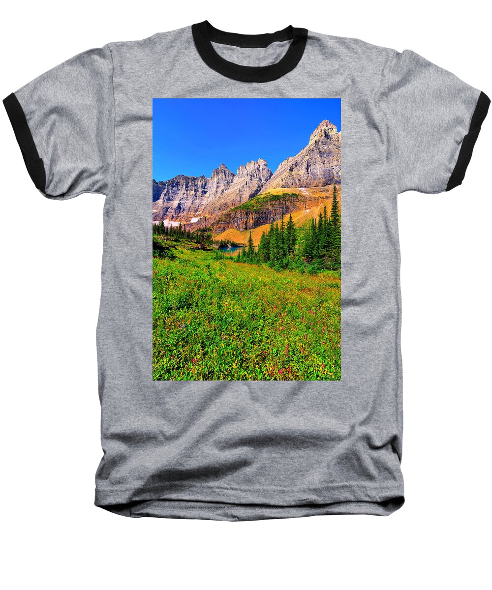Glacier National Park Baseball T-Shirt featuring the photograph Wildflower Meadow Beneath the Ptarmigan Wall by Greg Norrell