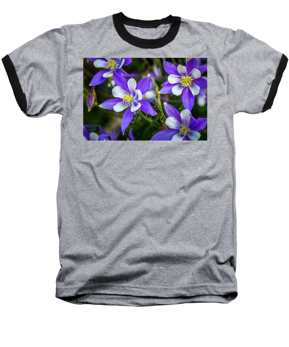 Colorado Baseball T-Shirt featuring the photograph Wildflowers Blue Columbines by Teri Virbickis