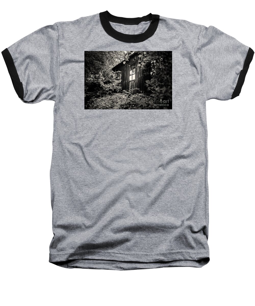 Ludington Michigan Baseball T-Shirt featuring the photograph Window in the Woods by Randall Cogle