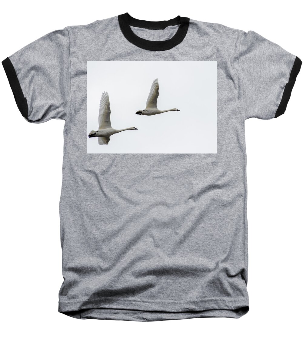 Nature Baseball T-Shirt featuring the photograph Winging Home by Donald Brown