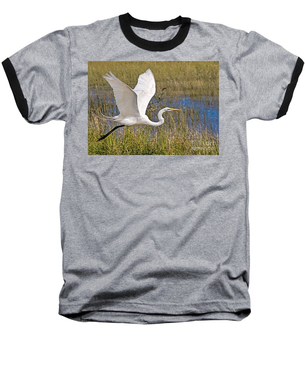 Birds In Flight Baseball T-Shirt featuring the photograph Wings by Judy Kay