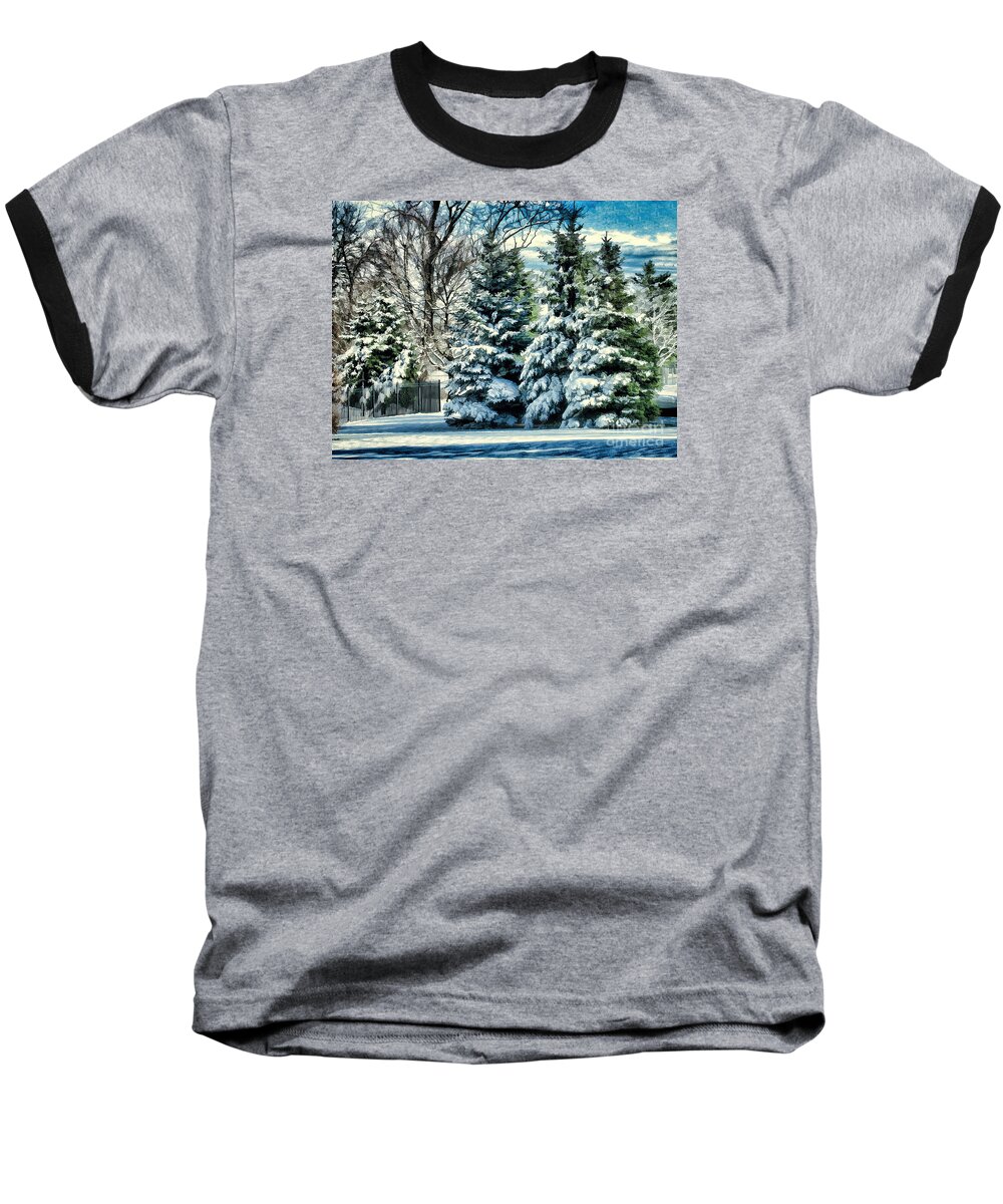 Snow Baseball T-Shirt featuring the photograph Winter In New England by Judy Palkimas