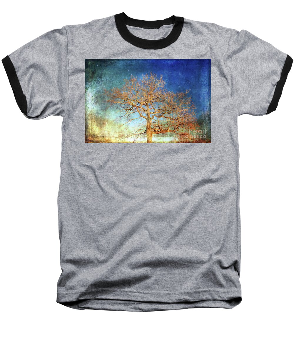 Tree Baseball T-Shirt featuring the photograph Winter Promise by Randi Grace Nilsberg