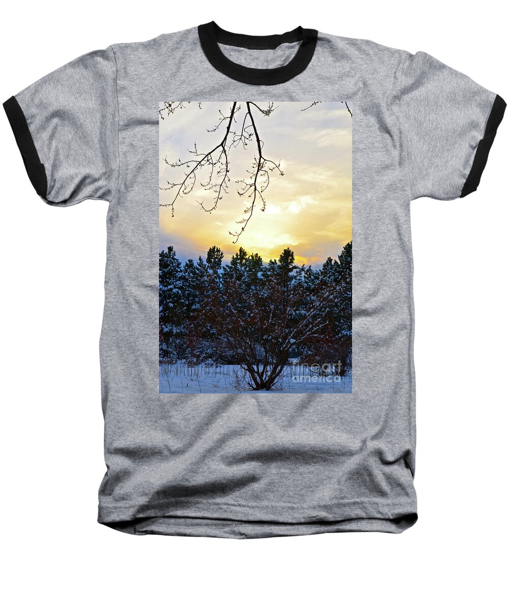Winter Sunset Baseball T-Shirt featuring the photograph Winter Sunset on the Tree Farm #2 by Cindy Schneider