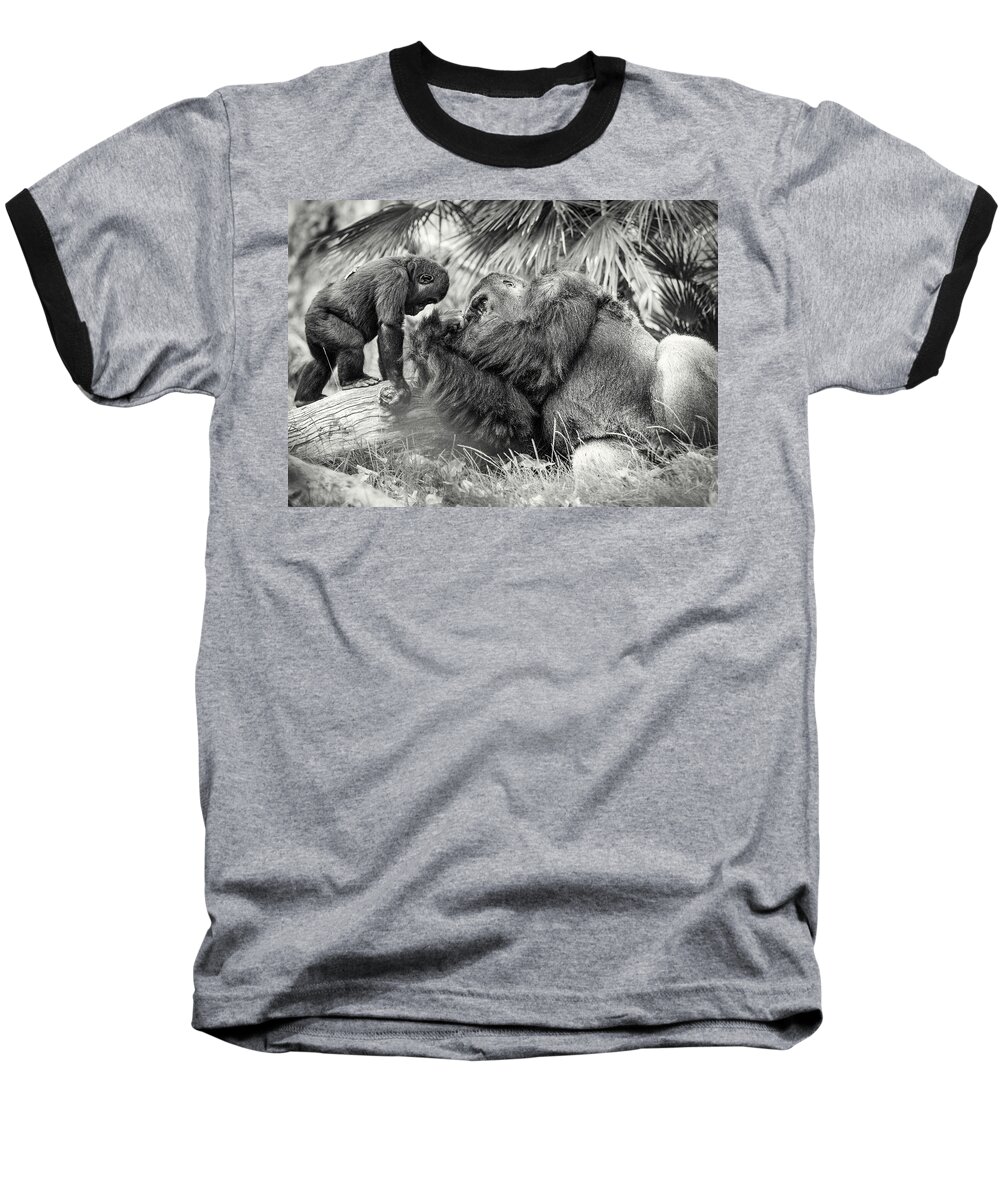 Gorilla Baseball T-Shirt featuring the photograph Wisdom by William Blonigan