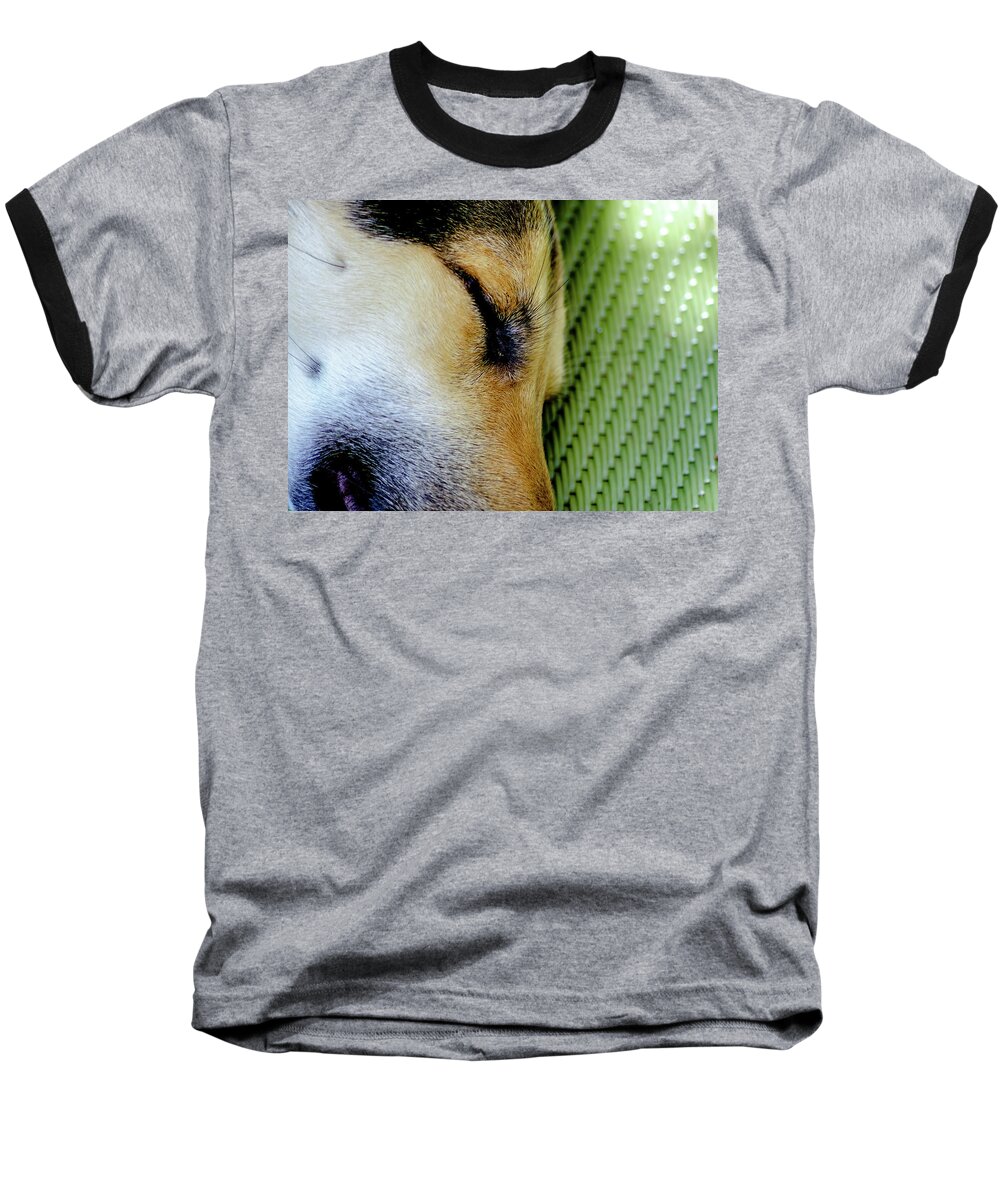 Dog Baseball T-Shirt featuring the photograph Wiskers Fur-n-Plastic by Tim Dussault