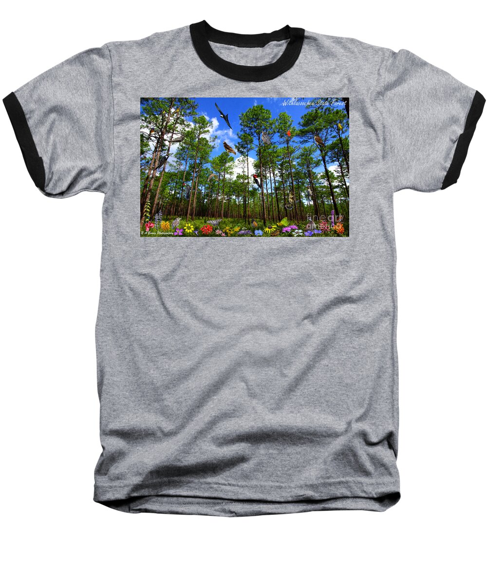 Withlacoochee State Forest Baseball T-Shirt featuring the photograph Withlacoochee State Forest Nature Collage by Barbara Bowen