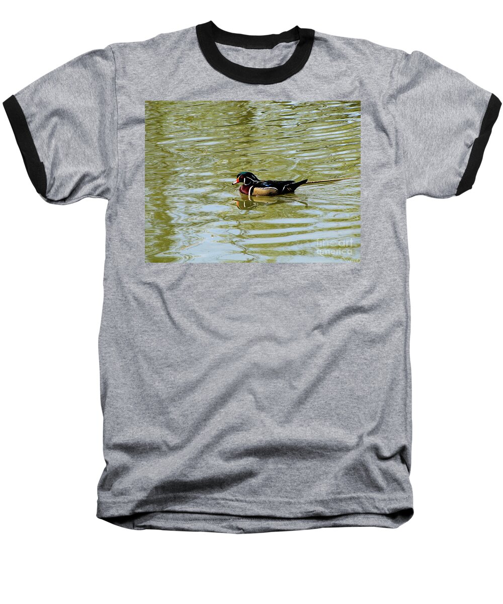 Wood Duck Baseball T-Shirt featuring the photograph Wood Duck by September Stone