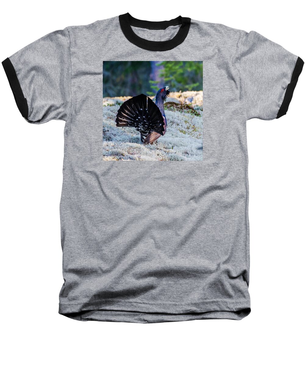 Wood Grouse's Tail Baseball T-Shirt featuring the photograph Wood Grouse's Tail by Torbjorn Swenelius