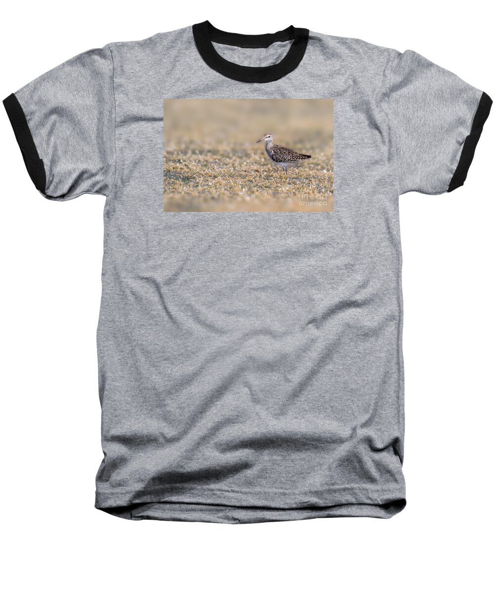 Animal Baseball T-Shirt featuring the photograph Wood sandpiper by Jivko Nakev