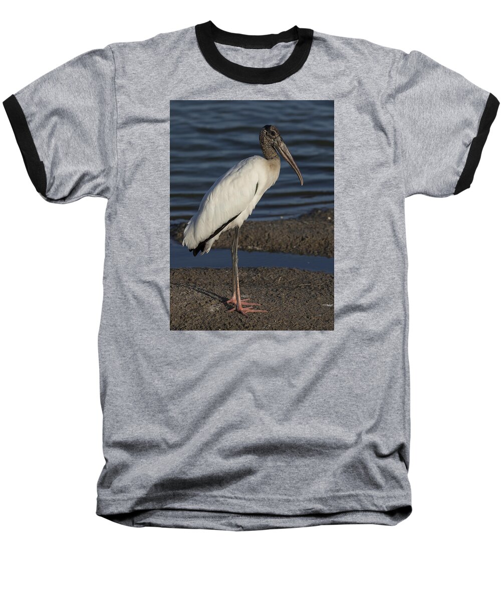 Wood Baseball T-Shirt featuring the photograph Wood Stork in the final light of day by David Watkins