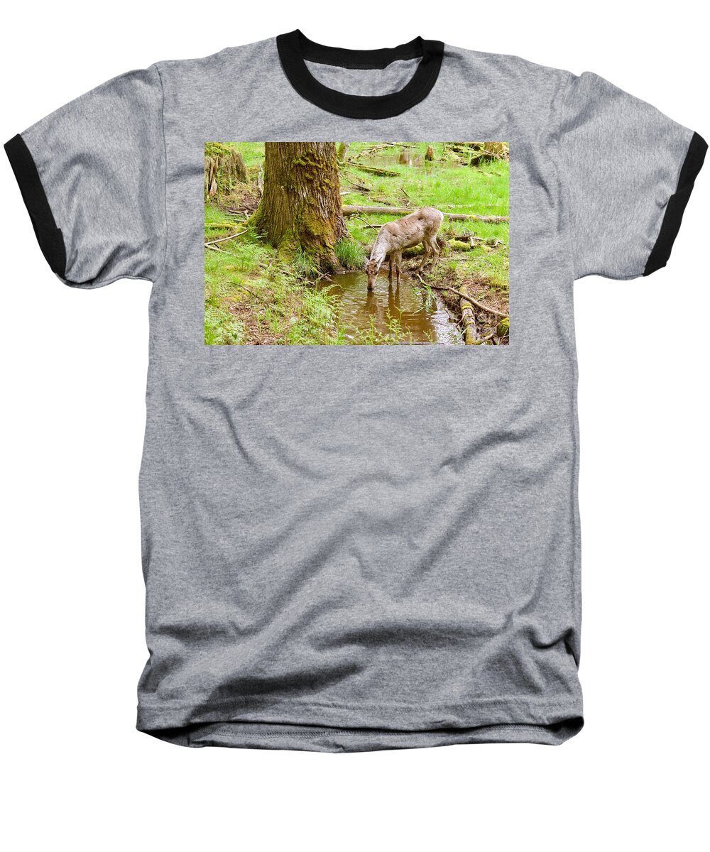 Photography Baseball T-Shirt featuring the photograph Woodland Caribou by Sean Griffin