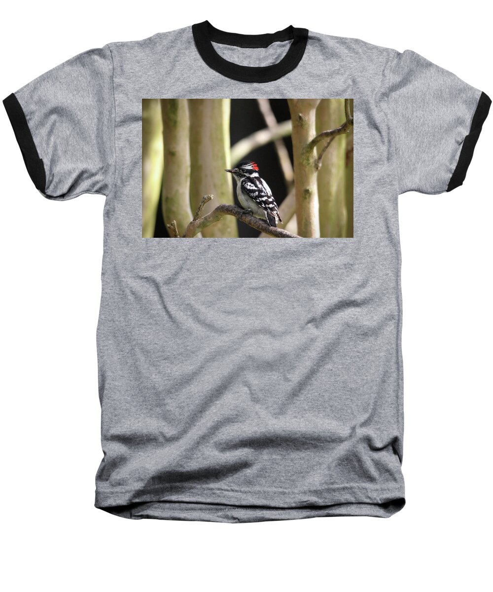 Birds Baseball T-Shirt featuring the photograph Downy Woodpecker by Trina Ansel