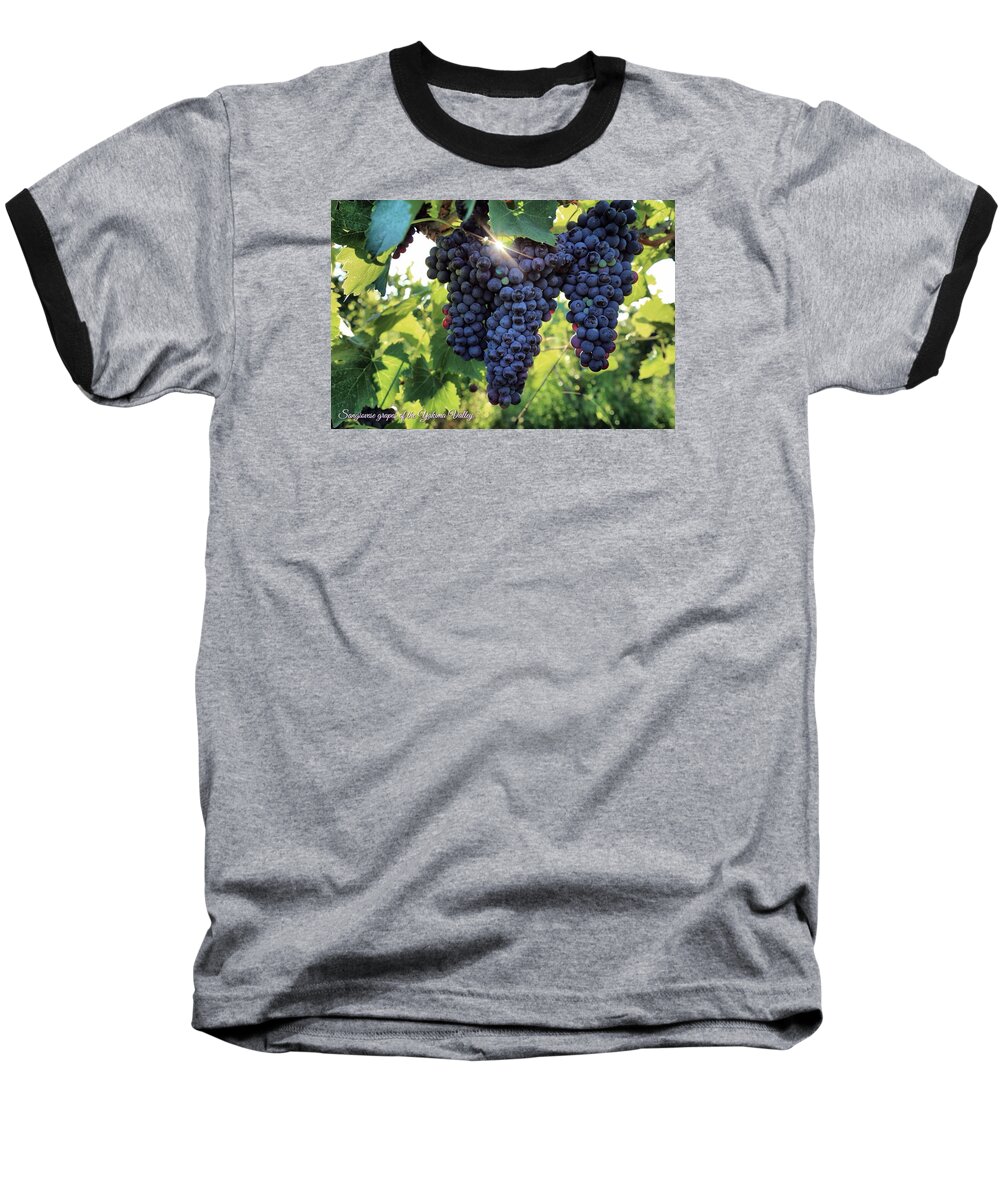 Yakima Valley Grapes Baseball T-Shirt featuring the photograph Yakima Valley grapes by Lynn Hopwood