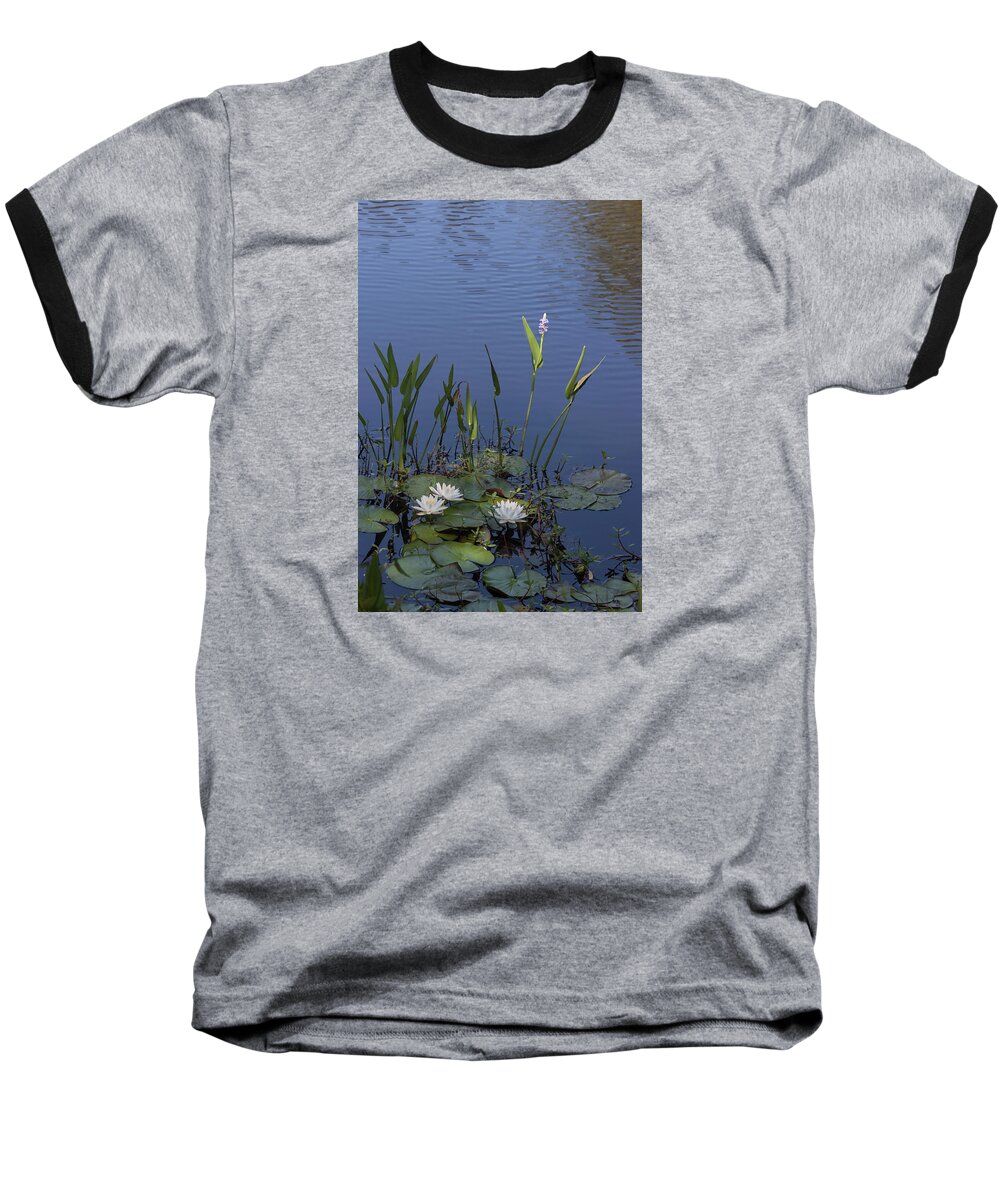 Photograph Baseball T-Shirt featuring the photograph Yawkey Wildlife Reguge Water Lilies with Rare Plant by Suzanne Gaff