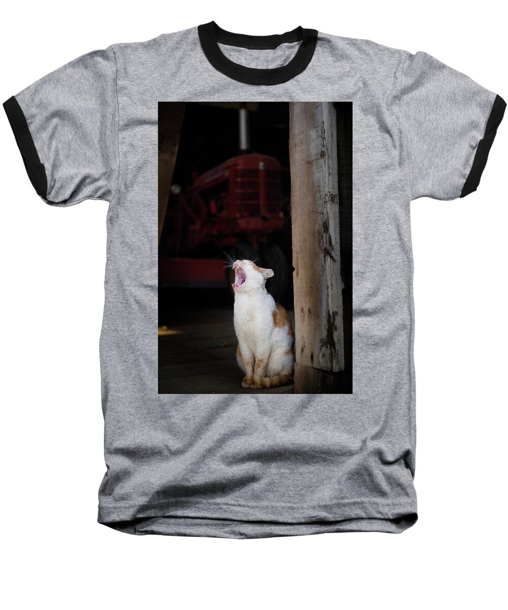 Animals Baseball T-Shirt featuring the photograph Yawning Barn Cat and Tractor by Dennis Dame