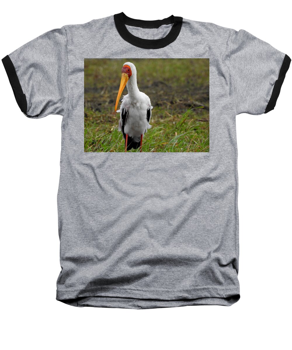Stork Baseball T-Shirt featuring the photograph Yellow-billed Stork by Betty-Anne McDonald