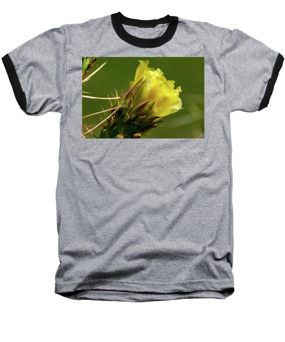 Yellow Baseball T-Shirt featuring the photograph Yellow Cactus Flower by Douglas Killourie