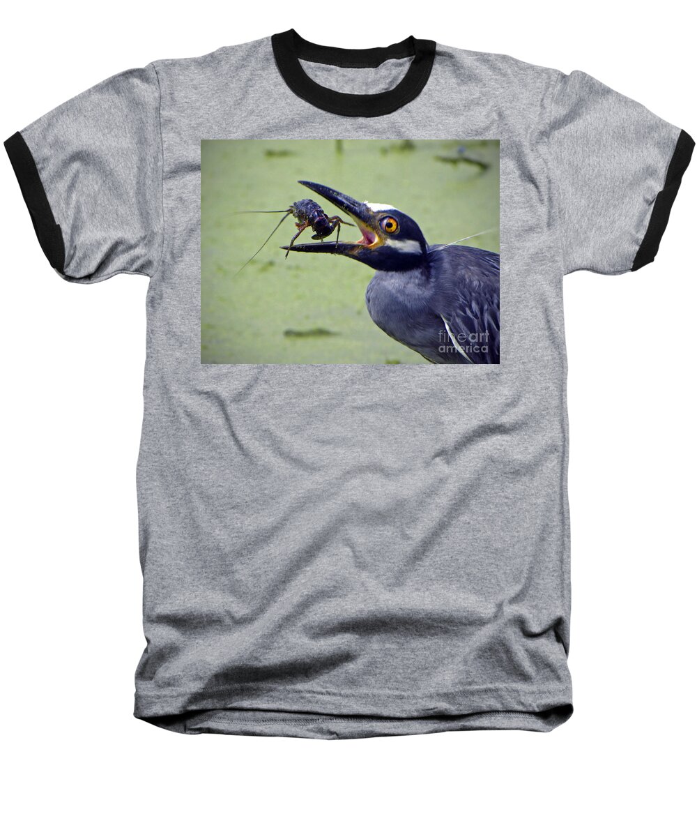  Heron Baseball T-Shirt featuring the photograph Yellow Crowned Night Heron by Savannah Gibbs