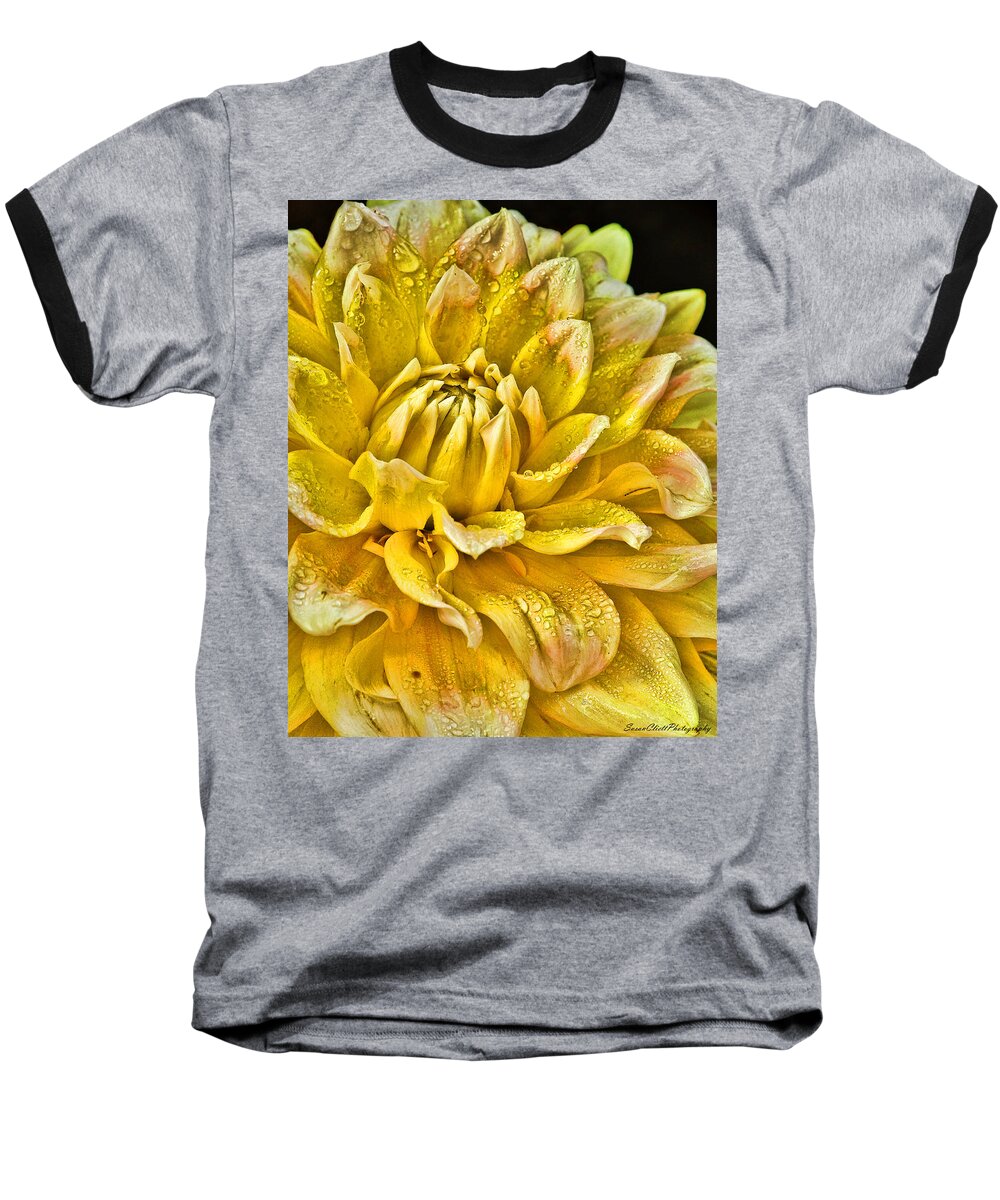 Nature Baseball T-Shirt featuring the photograph Yellow Dahlia by Susan Cliett