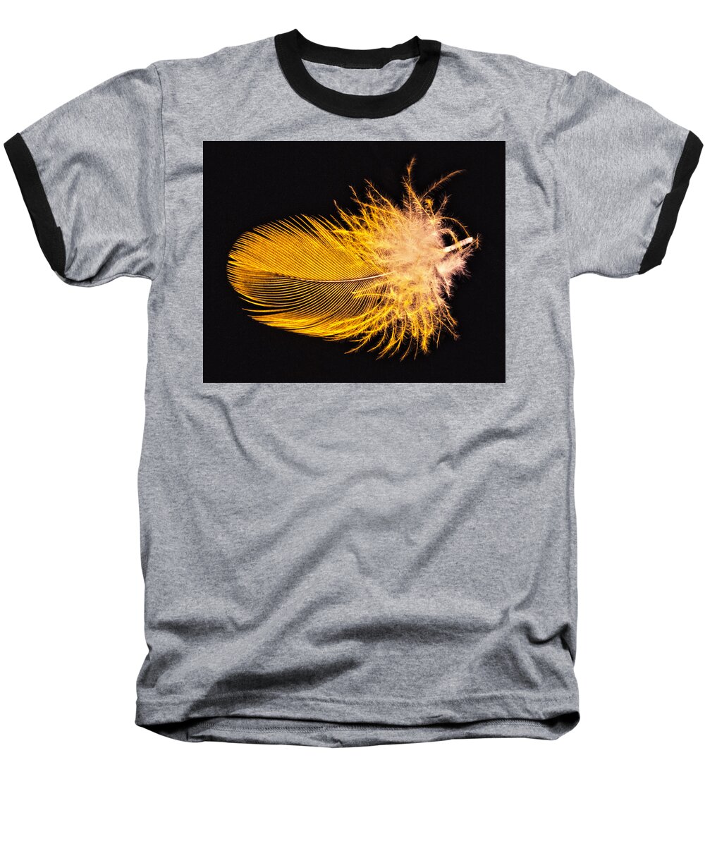 Pattern Baseball T-Shirt featuring the photograph Yellow Feather Macro by Bob Slitzan