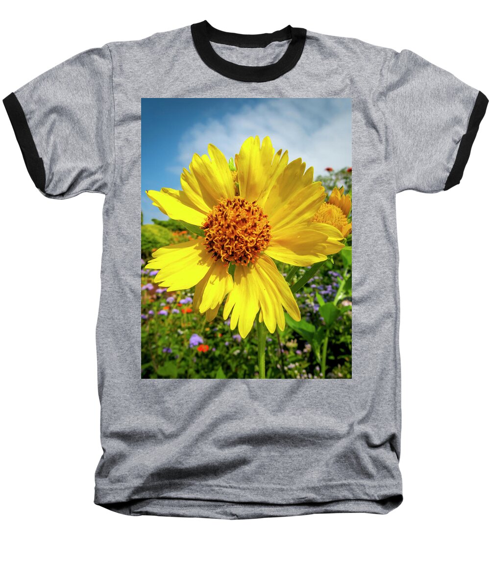 Flowers Baseball T-Shirt featuring the photograph Yellow Flower by Daniel Murphy