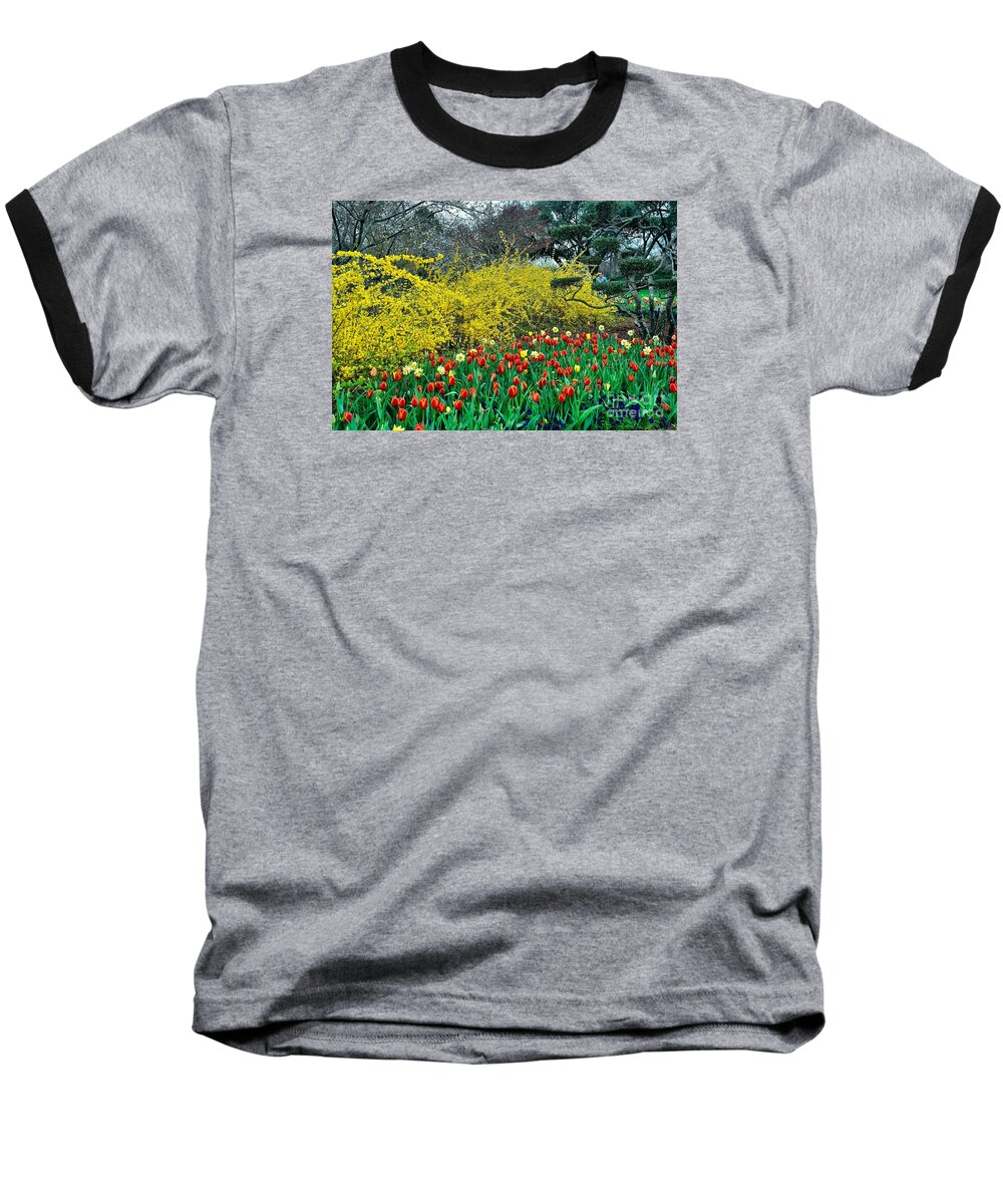 Spring Flowers Baseball T-Shirt featuring the photograph Yellow Forsythia by Diana Mary Sharpton