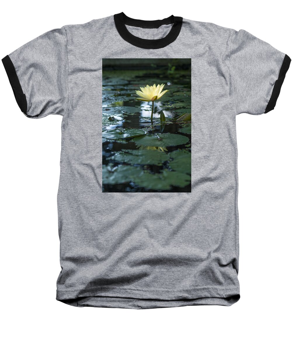 Close-up Baseball T-Shirt featuring the photograph Yellow lilly tranquility by Brian Green