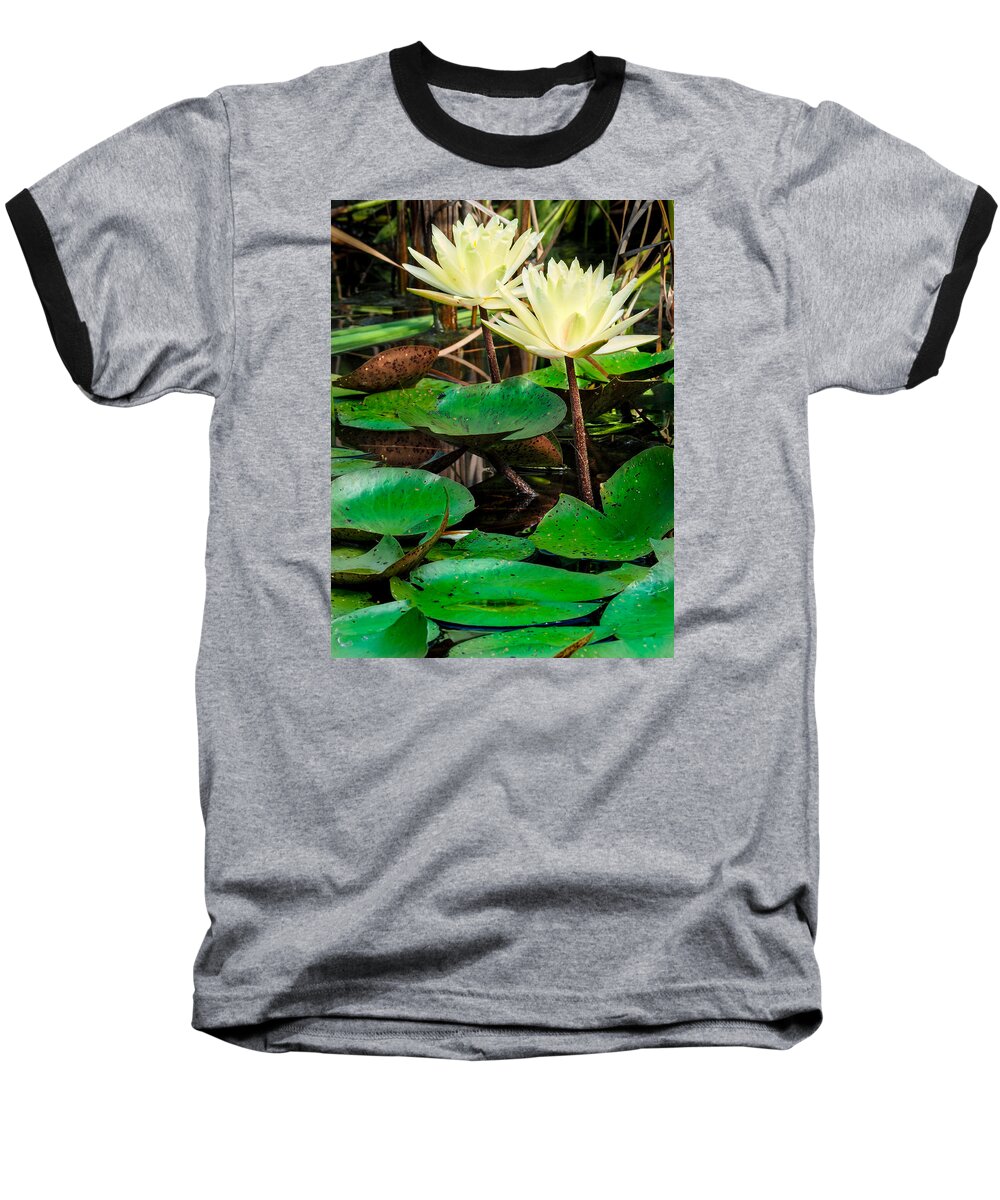 Yellow Lily Baseball T-Shirt featuring the photograph Yellow Lily by Paula Ponath