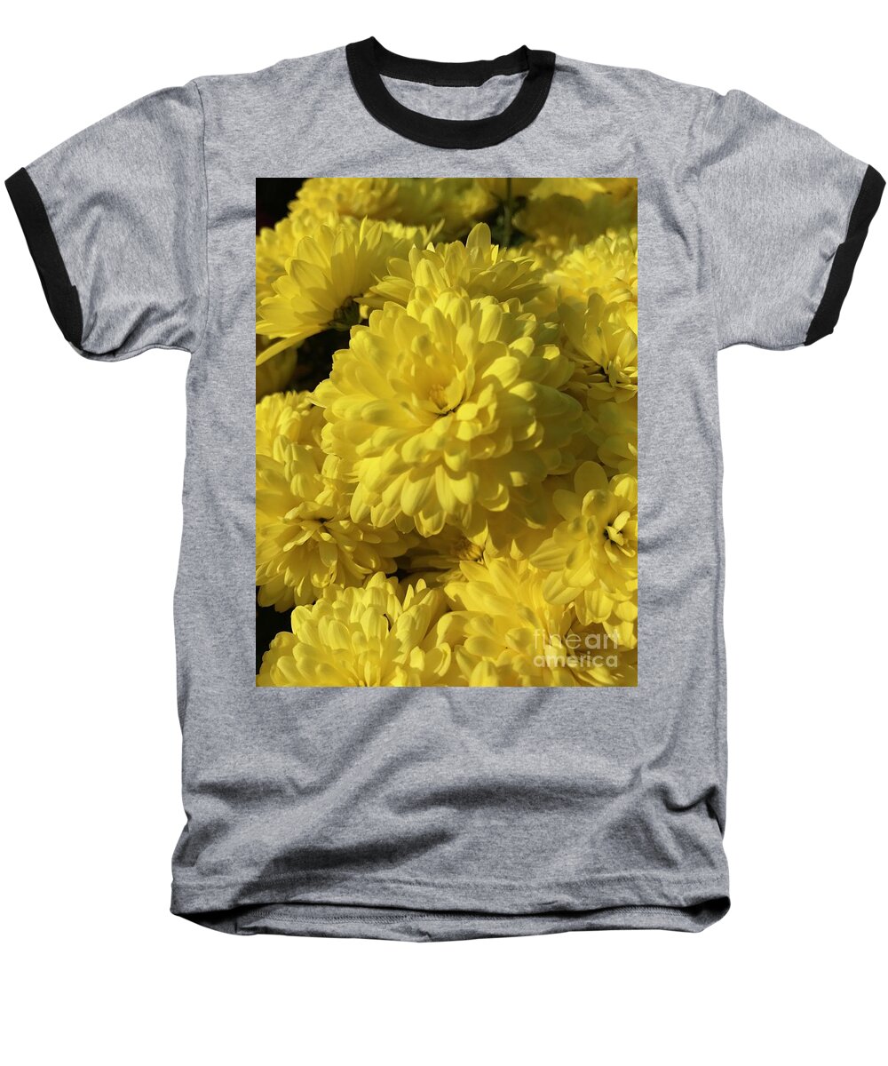 Yellow Mums Baseball T-Shirt featuring the photograph Yellow Mums by CAC Graphics