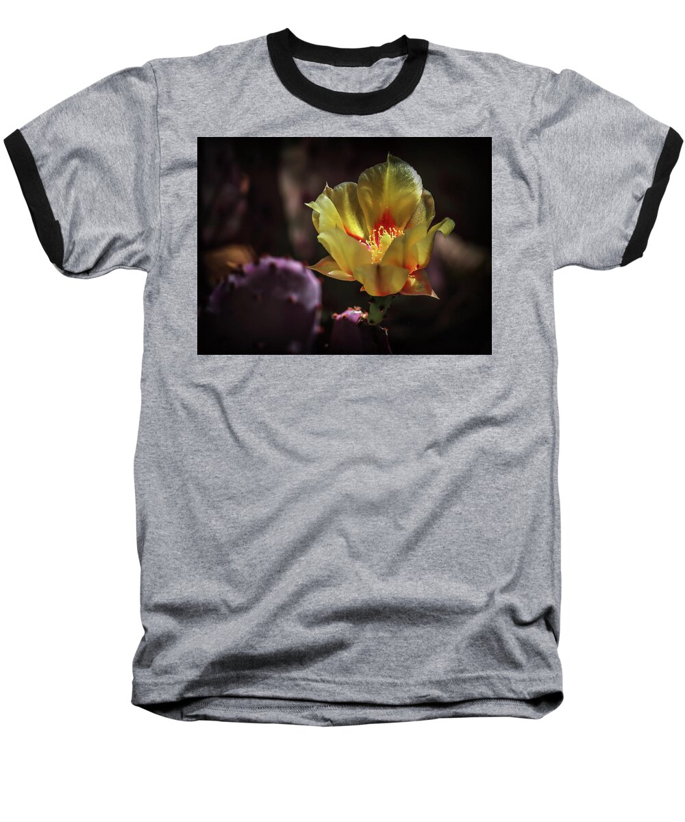 Cacti Baseball T-Shirt featuring the photograph Yellow N Red by Elaine Malott