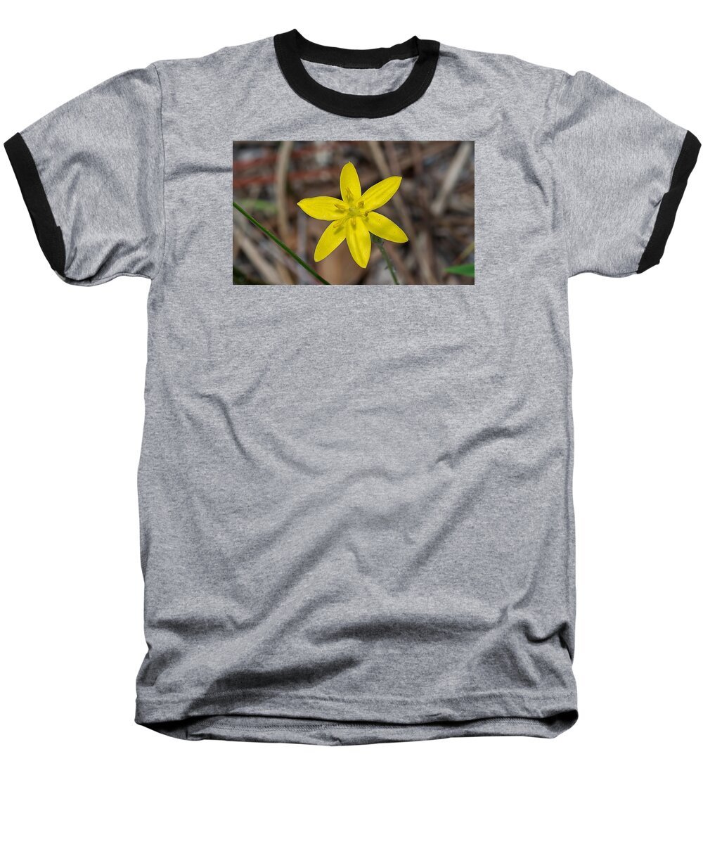 Nature Baseball T-Shirt featuring the photograph Yellow Star Grass Flower by Kenneth Albin