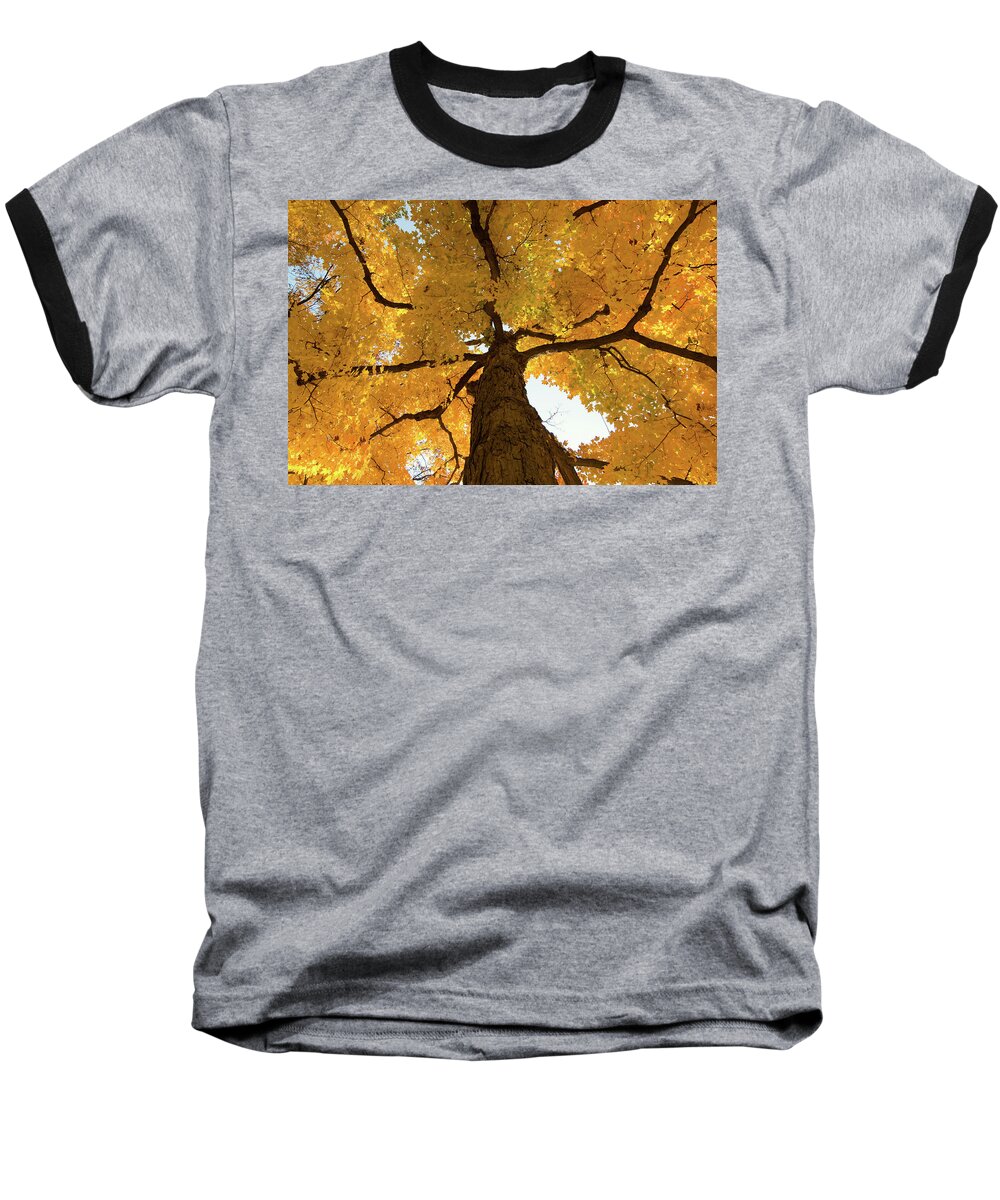 Maple Baseball T-Shirt featuring the photograph Yellow Up by Steve Stuller