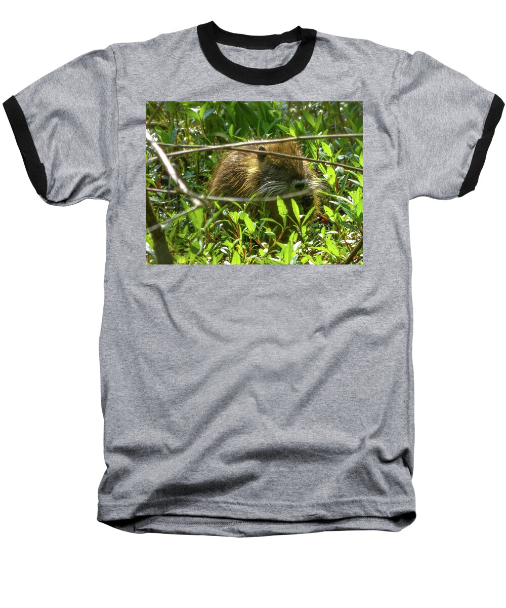 Orcinus Fotograffy Baseball T-Shirt featuring the photograph Young Nutria In Love by Kimo Fernandez