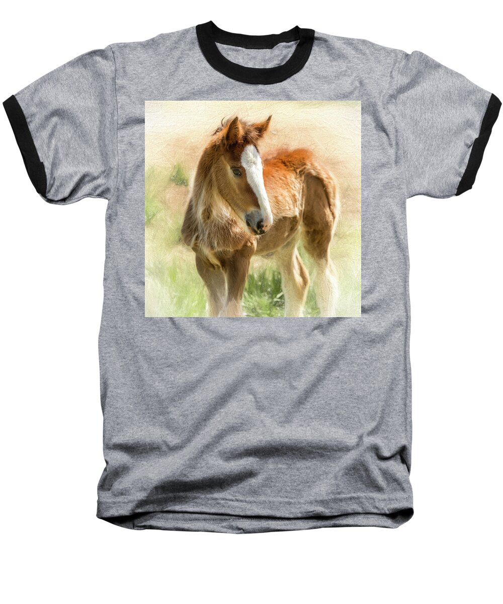 Animal Baseball T-Shirt featuring the photograph Young Painted Clydesdale by Bill and Linda Tiepelman