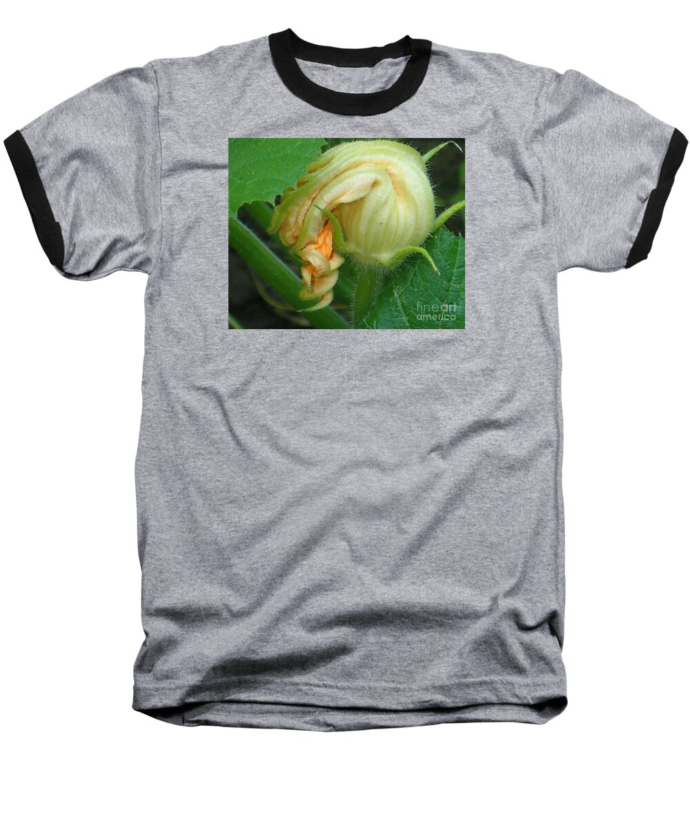 Nature Baseball T-Shirt featuring the photograph Young Pumpkin Blossom by Christina Verdgeline