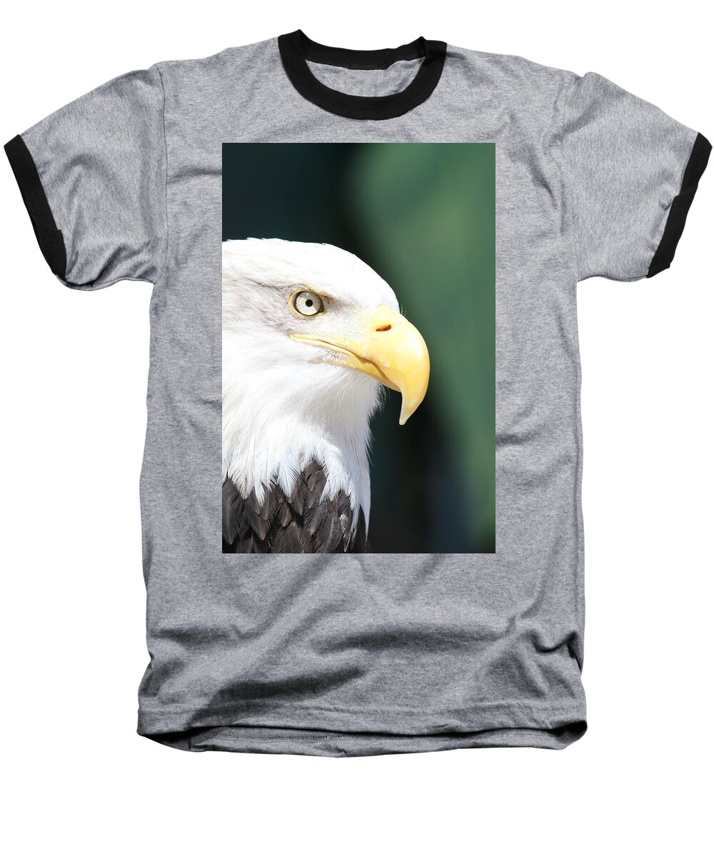 Eagle Baseball T-Shirt featuring the photograph Zeroed In by Laddie Halupa