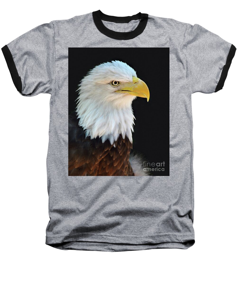 American Bald Eagle Baseball T-Shirt featuring the photograph American Bald Eagle #2 by Savannah Gibbs